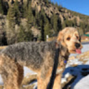 Meet your Posher, Claire